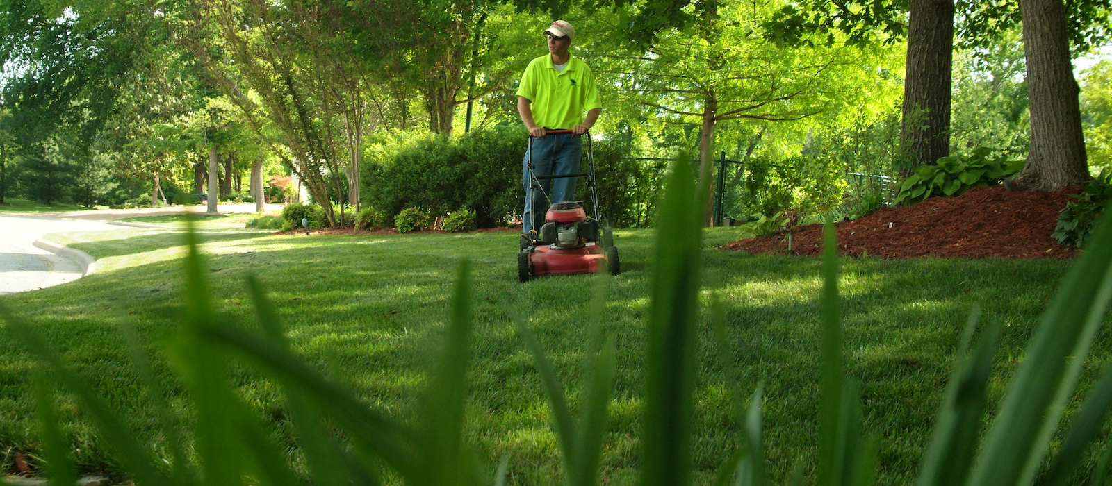 Mow Pro Our Lawn Care And Landscaping Services
